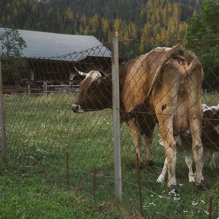 Landhaus Obervellach Hermagor-Pressegger See Eksteriør bilde